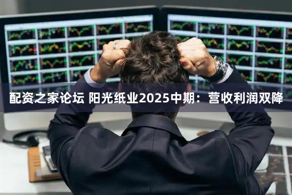 配资之家论坛 阳光纸业2025中期：营收利润双降