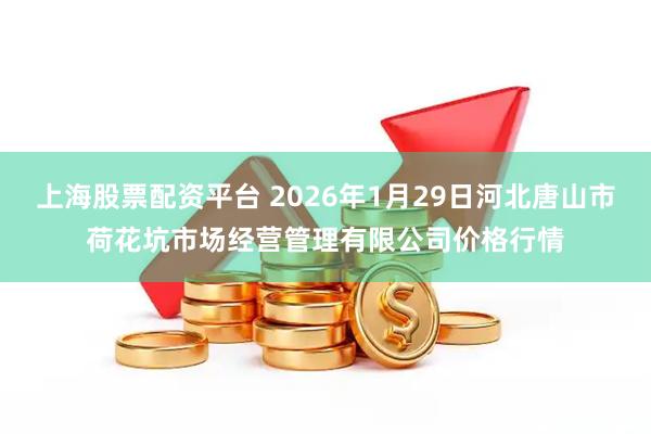 上海股票配资平台 2026年1月29日河北唐山市荷花坑市场经营管理有限公司价格行情